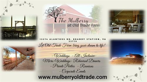 Gallery Image The_Mulberry_Announcement_(1)_(2).jpg