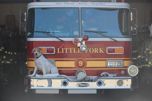 Little Fork Volunteer Fire and Rescue Department