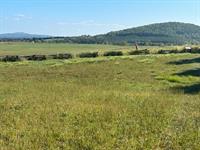 Cedar Mountain Battlefield and Brandy Station Battlefield 5K and 10K races