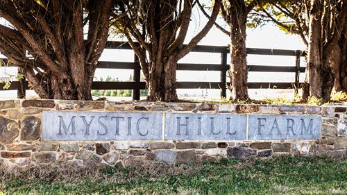 Welcome to Mystic Hill!