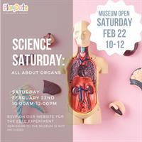 Free Science Saturday: All About Organs