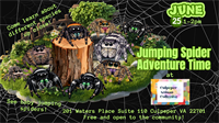 Jumping Spider Adventure Time at Culpeper Artisan Collective