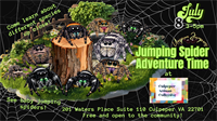 Jumping Spider Adventure Time at Culpeper Artisan Collective