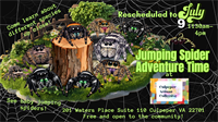 Jumping Spider Adventure Time at Culpeper Artisan Collective