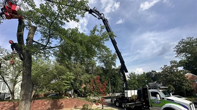 ZZ Outdoor Solutions, LLC dba ZZ TREE ZZ Outdoor Solutions, LLC dba ZZ TREE