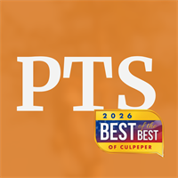 Professional Tree Surgeon