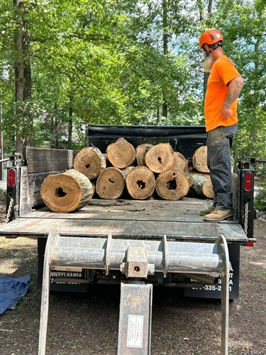 Gallery Image imgi_42_trunks.jpg