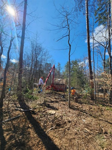 Gallery Image imgi_66_6.jpg