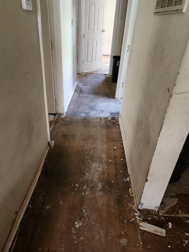 Gallery Image IMG_2721.jpeg