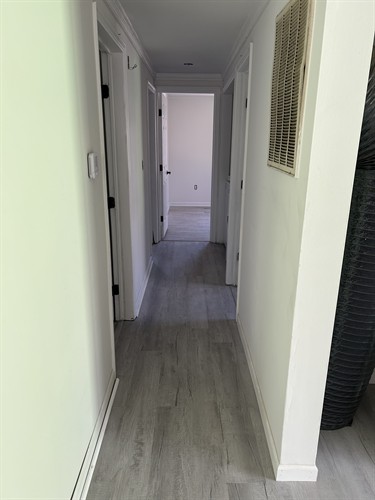 Gallery Image IMG_3500.jpeg