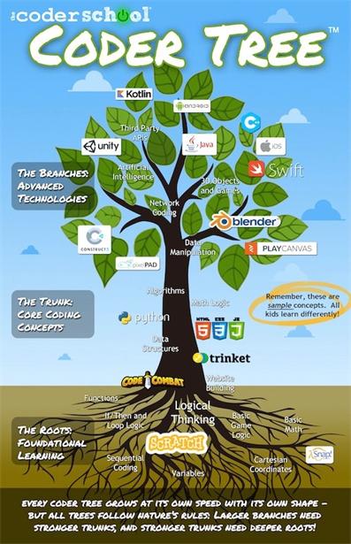 Coder Tree