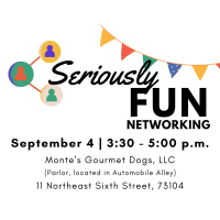 Seriously Fun Networking