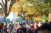 2026 Walk to Cure Arthritis