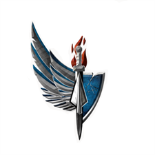 Operations Security International, Inc (OSI Network)