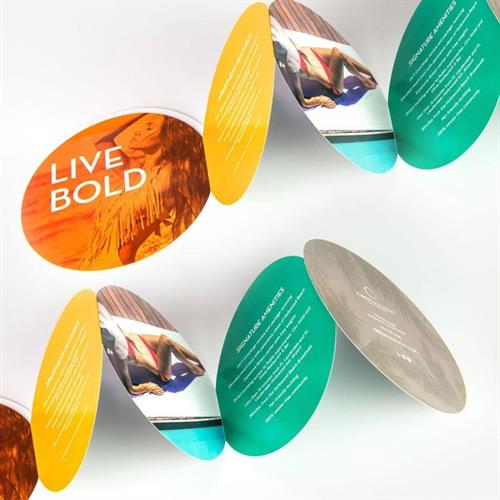 Gallery Image Create_Bold._Bright._and_Unforgettable_Brochures_with_MMC.jpg