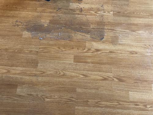wax removal on wood floor