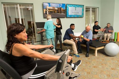 Exercise and Physical Therapy