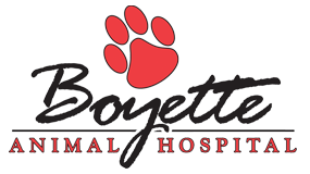 Boyette Animal Hospital