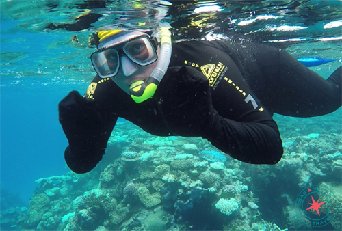 Snorkeling at the Great Barrier Reef