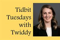 Tidbit Tuesdays with Twiddy - Quarterly Market Update