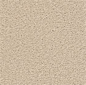 stock- eggshell carpet