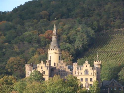 Palace on the Rhine Palace on the Rhine