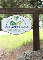 Yoga & Blueberry Picking at Mini Acres Farm