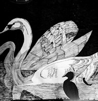 Along In Years, LLC, In-Home Support and Consulting