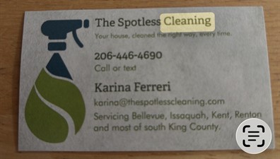 The Spotless Cleaning