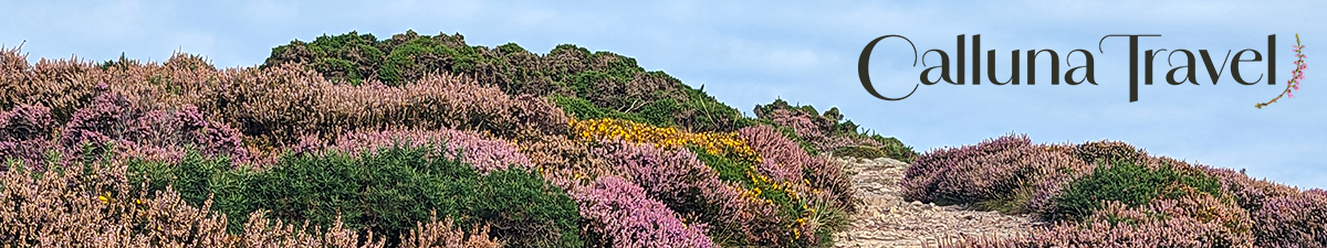 Calluna Travel