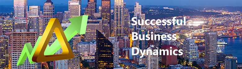 Successful Business Dynamics