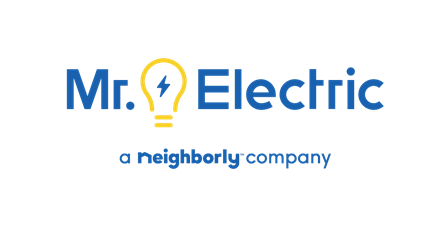 Mr. Electric