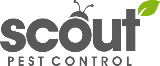 Scout Pest Control, Inc.