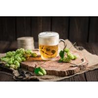 Calhoun has Spots Available for Brewing Course This Fall 