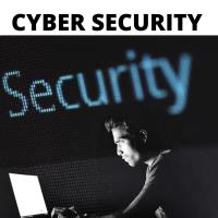 CYBER SECURITY; Learn how to Protect Your Business from Online Threats 