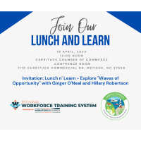 Lunch n Learn - Waves of Opportunity with Ginger O'Neal - Postponed until further notice