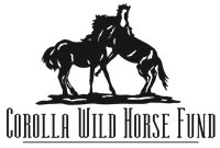 Corolla Wild Horse Fund, Inc.