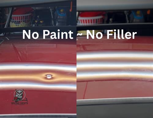 Gallery Image No_Paint_-_No_Filler.jpg