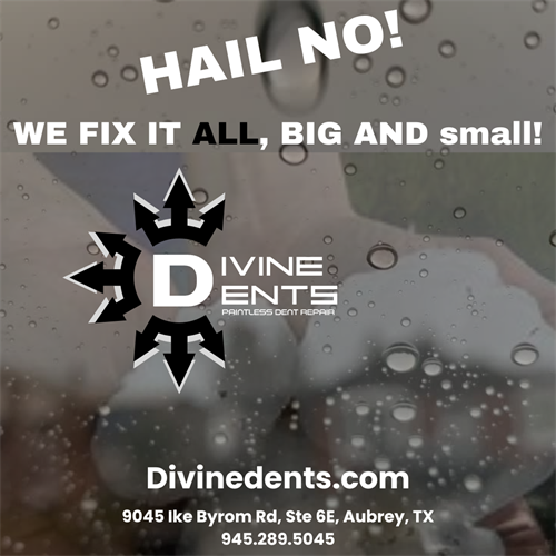 Gallery Image OUT_ANIMATION.png