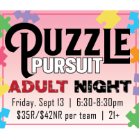 Puzzle Pursuit - Adult Night