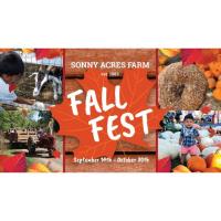 Fall Festival at Sonny Acres Farm