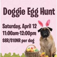 Doggie Egg Hunt