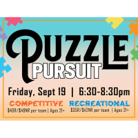 Puzzle Pursuit