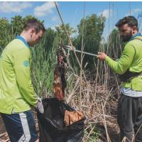 County Trash Sweep