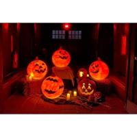 Pumkin Night Hike for Families