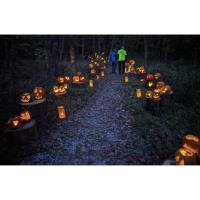 Lantern-Lit Halloween Hike