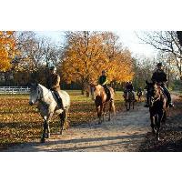 Horsin' Around Day: Trick-or-Treat at Danada
