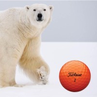 Polar Bear Open - St. Andrews Golf & Country Club