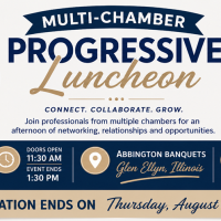 Multi-Chamber Progressive Networking Luncheon