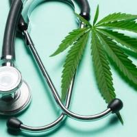 Medical Cannabis Information - Warrenville Public Library